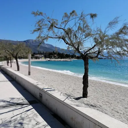 Olive Tree * Kastela